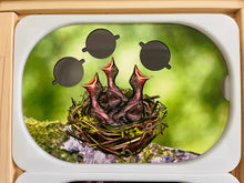 Load image into Gallery viewer, Feeding Baby Birds Insert
