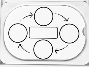 Life Cycle Insert